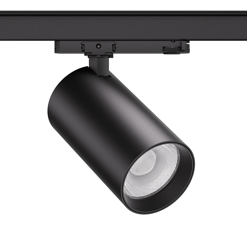 W2095L Lens+Long Lamp Body: Integrated Adapter Type