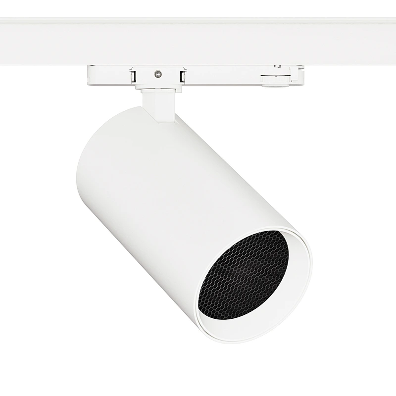 W2095L Lens+Long Lamp Body: Integrated Adapter Type