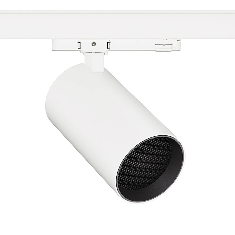 W2095L Lens+Long Lamp Body: Integrated Adapter Type